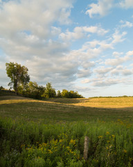 Yellow Farm Fields Under Blue and Cloudy Sky