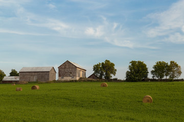 Haybales in Field in Front of Barns