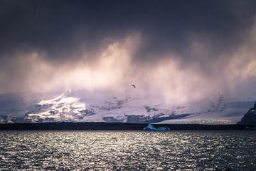 Obraz premium Jokulsarlon - May 05, 2018: Vatnajokull National park seen from the Iceberg lagoon of Jokulsarlon, Iceland