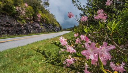 Landscape Across the Blue Ridge Mountains