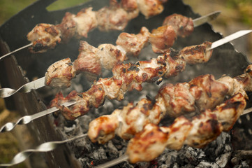 Traditional shish kebab on hot coals