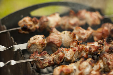 Traditional shish kebab on hot coals