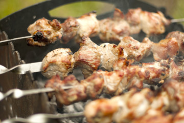 Traditional shish kebab on hot coals