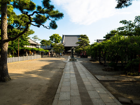 葛井寺