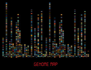 Big Genomic Data Visualization - DNA Test, Barcoding,  Genome Map Architecture  - Vector Graphic Template  
