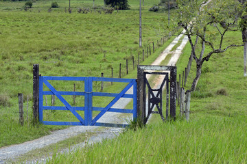Blue farm gate with dirt road and trees