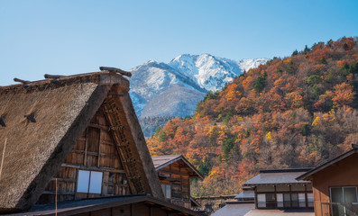 Shirakawago , beautiful village in the valley during autumn season.