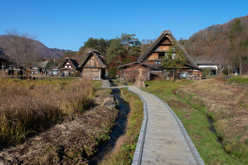 Fototapeta na wymiar Shirakawago , beautiful village in the valley during autumn season.