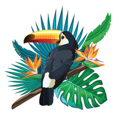 Toucan, exotic birds, tropical flowers, palm leaves, jungle leaves, bird of paradise. - obrazy, fototapety, plakaty