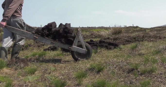 Cutting Turf Peat with a spade in a Moss Bog in Ireland