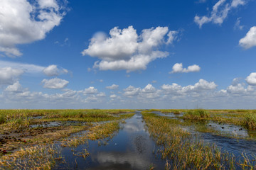 Everglades National Park - Florida