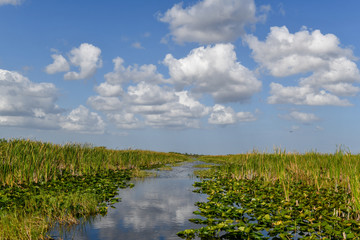 Everglades National Park - Florida