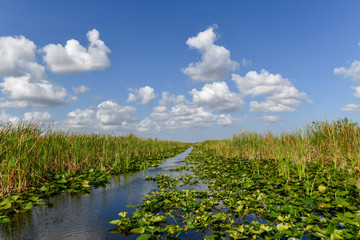 Everglades National Park - Florida