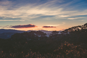 Sunset at Wellington New Zealand landscape
