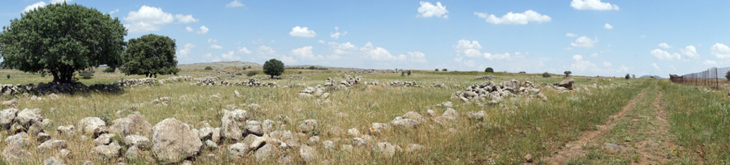 Obraz premium Track near fence