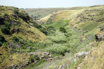 Fototapeta na wymiar Gorge in Galilee