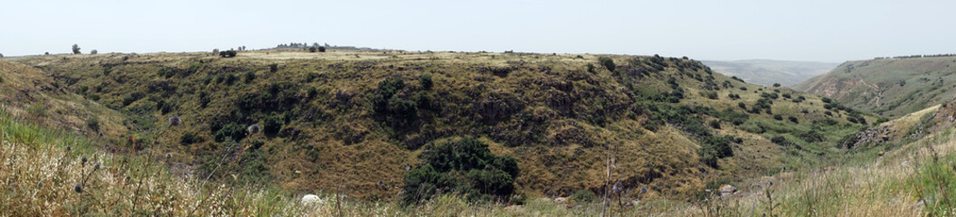 Gorge in Galilee