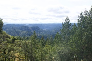 Armstrong Redwoods State Natural Reserve, California,  United States - to preserve 805 acres (326 ha) of coast redwoods (Sequoia sempervirens). The reserve is located in Sonoma County, Guerneville.