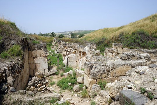 Horvat Minya