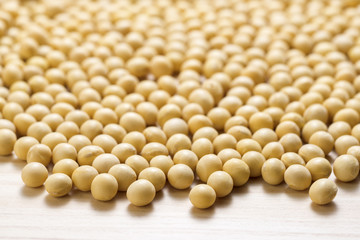 大豆のクローズアップ