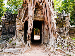 Ta Som Temple Siem Reap Cambodia: Root of the tree cover the wall.
