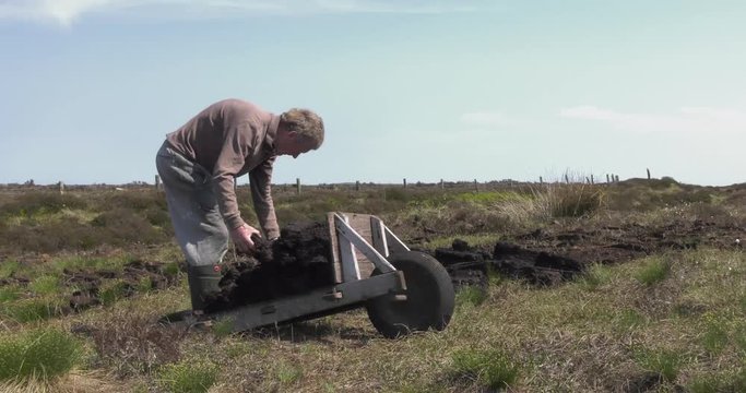 Cutting Turf Peat with a spade in a Moss Bog in Ireland