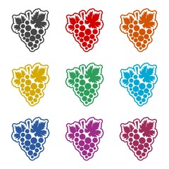 Grapes icon, Grape logo, color icons set