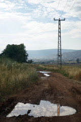 Fototapety na wymiar - Fototapeta24.pl