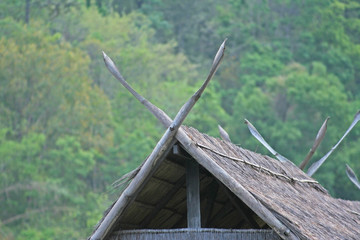 Fototapeta na wymiar Roof home made from bamboo and hay in the forest natural background