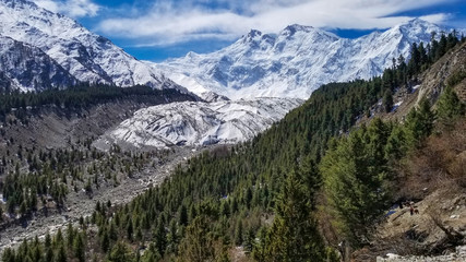 Nanga Parbat mountain with green pine under blue sky, Gilgit, Pakistan