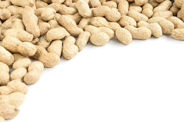 Peanut isolated on white background.