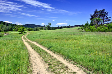 Country road in a grassy meadow and hills on a blue sky with  clouds, Low Beskid (Beskid Niski), Poland 