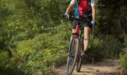 Fototapeta na wymiar Mountain biker cycling on summer forest trail