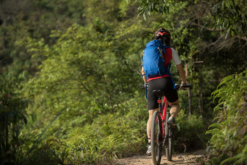 Fototapeta na wymiar Mountain biker cycling on summer forest trail
