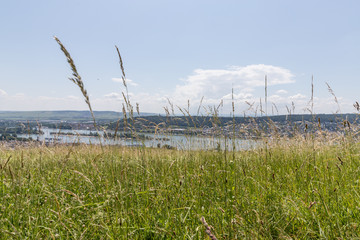 Fototapeta na wymiar Blick auf den Rhein vom Rheingau aus