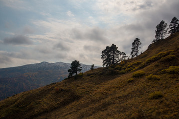 Golden autumn in the mountains of Adygea