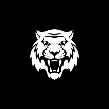 intimidating tiger front view theme logo template