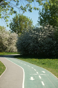 An empty bicycle path in the park