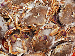 Fresh crabs on ice displayed at the seafood market   