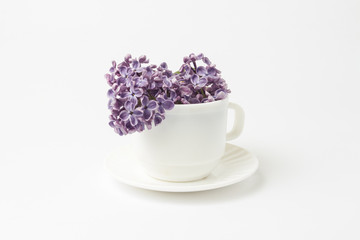 Beautiful flowers of lilac in a white cup on a light background.  Top view, flat, lay.