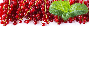 Red currants at border of image with copy space for text. Ripe red currants with a mint leaf on white background. Top view. 
