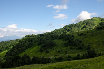 Fototapeta premium Majestic mountain landscapes of the Caucasian reserve