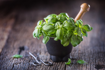 Fres basil leaves in mortar on wooden table