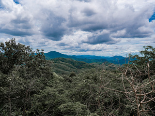 Forest with mountains in the background and cloudy sky