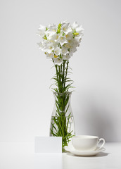 Fototapeta na wymiar bellflower and a cup in a vase on a table by the wall, white background