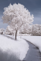 countryside in infrared - Germany
