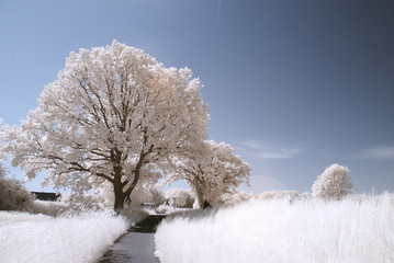 countryside in infrared - Germany