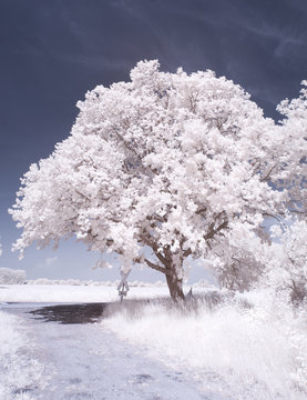 countryside in infrared - Germany