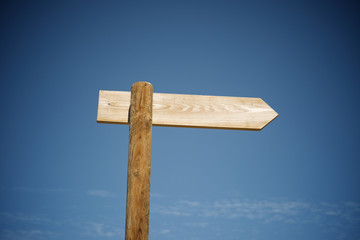 Directional signal view