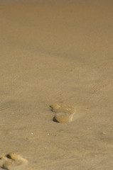 A feet imprint on the sand on a sea shore